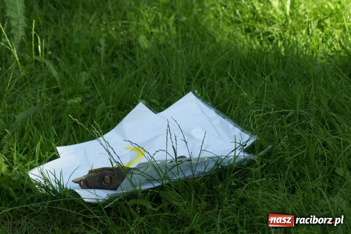 Zdjęcie w galerii na portalu naszraciborz.pl: Znamy raciborskich Superbohaterów wiadomości z regionu