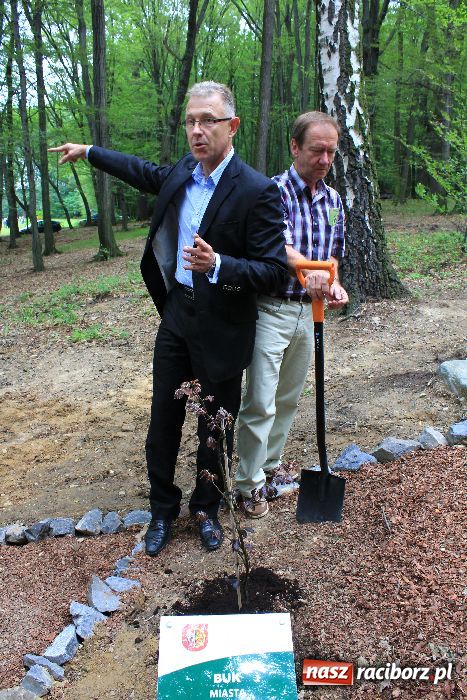 Zdjęcie w galerii na portalu naszraciborz.pl: Otwarcie Zaczarowanego Ogrodu wiadomości z regionu