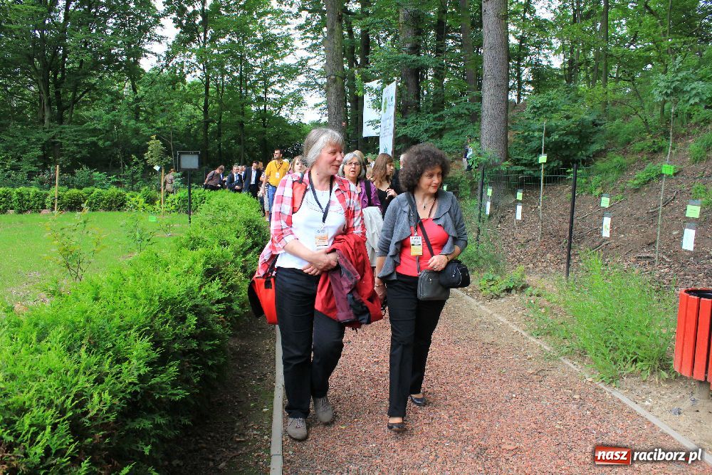Zdjęcie w galerii na portalu naszraciborz.pl: Otwarcie Zaczarowanego Ogrodu wiadomości z regionu