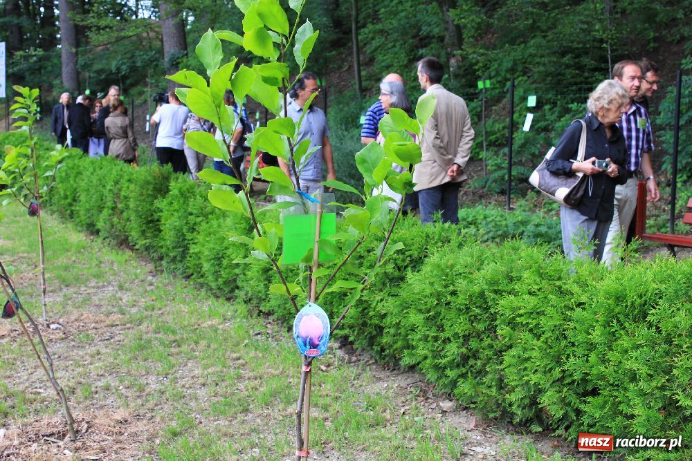 Zdjęcie w galerii na portalu naszraciborz.pl: Otwarcie Zaczarowanego Ogrodu wiadomości z regionu