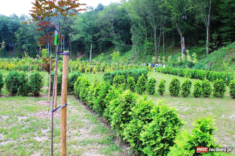 Zdjęcie w galerii na portalu naszraciborz.pl: Otwarcie Zaczarowanego Ogrodu wiadomości z regionu