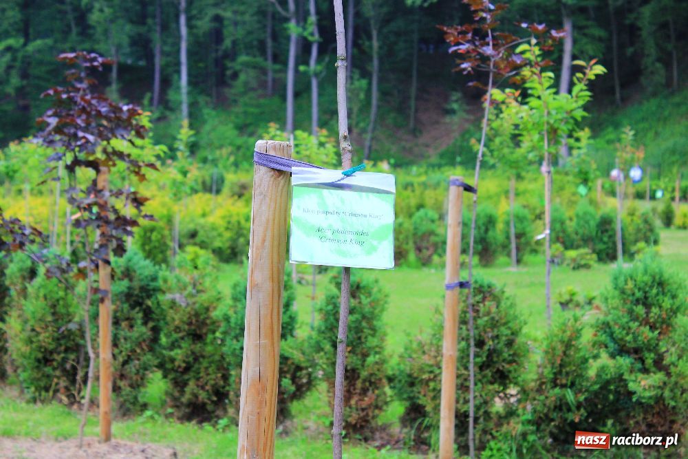 Zdjęcie w galerii na portalu naszraciborz.pl: Otwarcie Zaczarowanego Ogrodu wiadomości z regionu