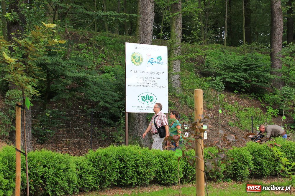 Zdjęcie w galerii na portalu naszraciborz.pl: Otwarcie Zaczarowanego Ogrodu wiadomości z regionu