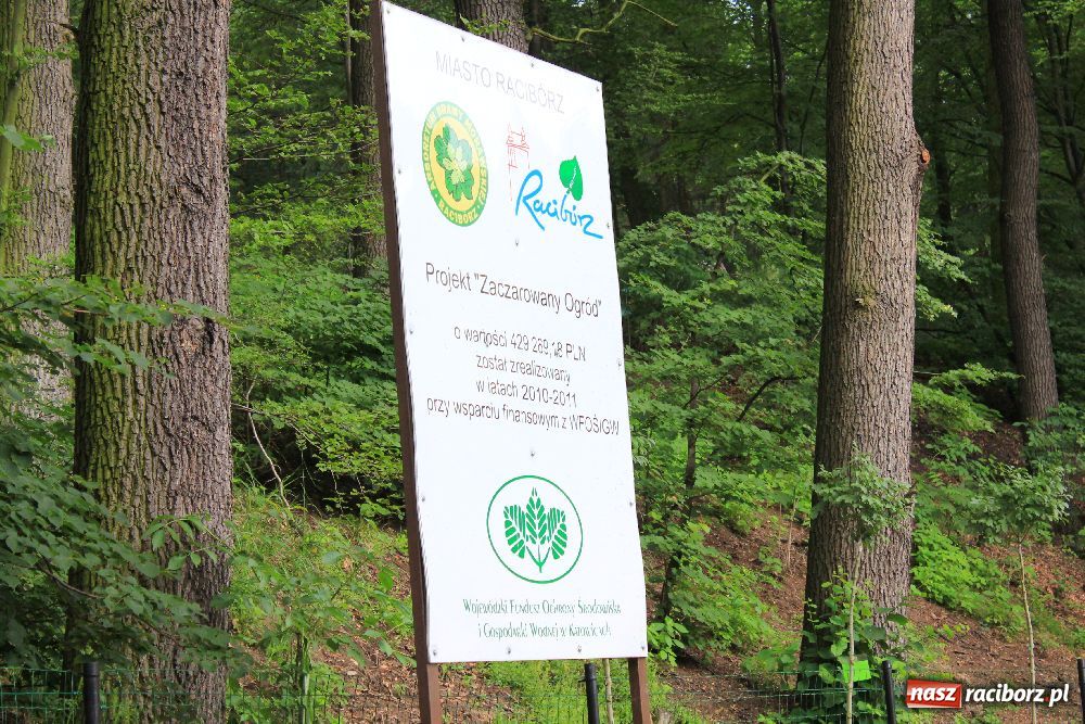 Zdjęcie w galerii na portalu naszraciborz.pl: Otwarcie Zaczarowanego Ogrodu wiadomości z regionu