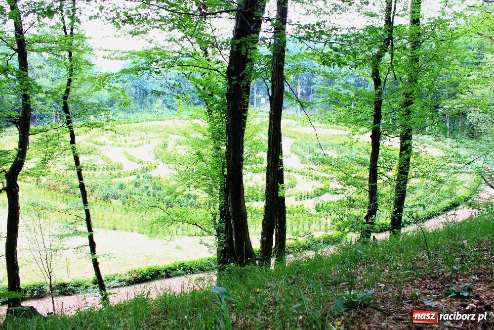 Zdjęcie w galerii na portalu naszraciborz.pl: Otwarcie Zaczarowanego Ogrodu wiadomości z regionu