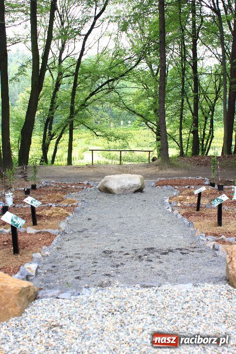 Zdjęcie w galerii na portalu naszraciborz.pl: Otwarcie Zaczarowanego Ogrodu wiadomości z regionu