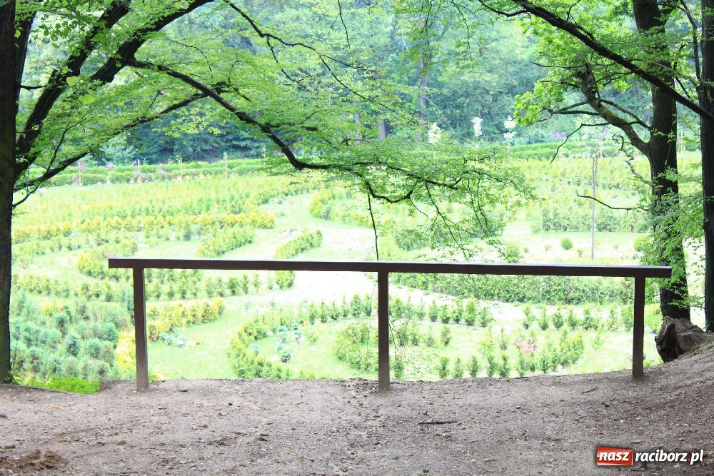 Zdjęcie w galerii na portalu naszraciborz.pl: Otwarcie Zaczarowanego Ogrodu wiadomości z regionu