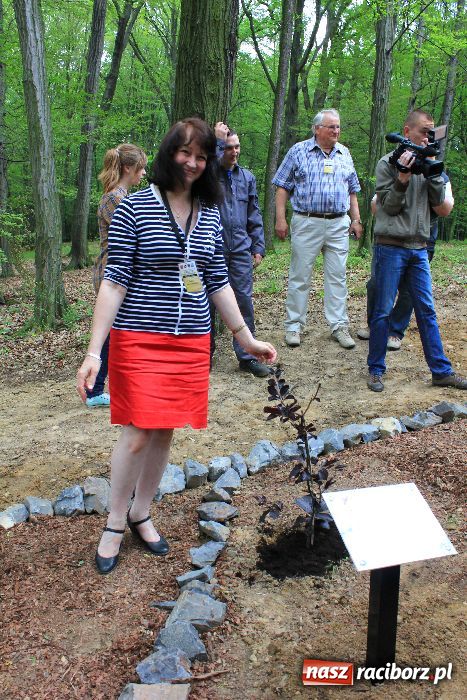 Zdjęcie w galerii na portalu naszraciborz.pl: Otwarcie Zaczarowanego Ogrodu wiadomości z regionu