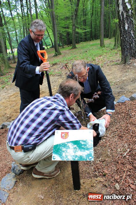 Zdjęcie w galerii na portalu naszraciborz.pl: Otwarcie Zaczarowanego Ogrodu wiadomości z regionu