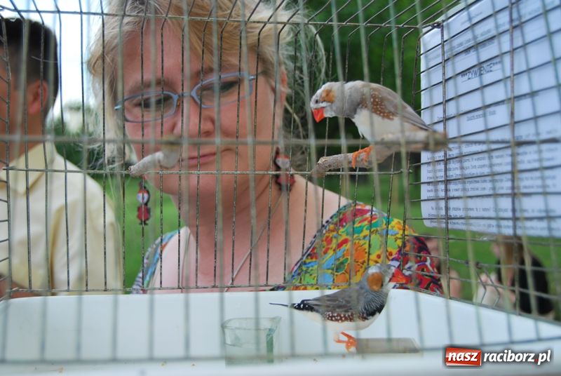 Zdjęcie w galerii na portalu naszraciborz.pl: W Rudach już prawie wakacje wiadomości z regionu