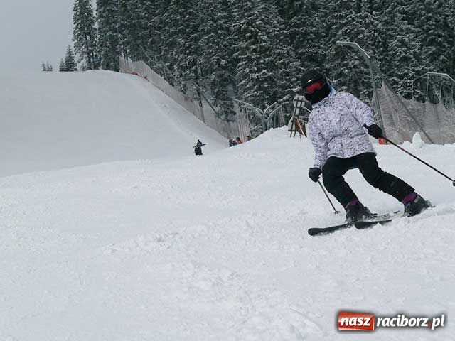 Zdjęcie w galerii na portalu naszraciborz.pl: Białe szaleństwo w Pecu wiadomości z regionu