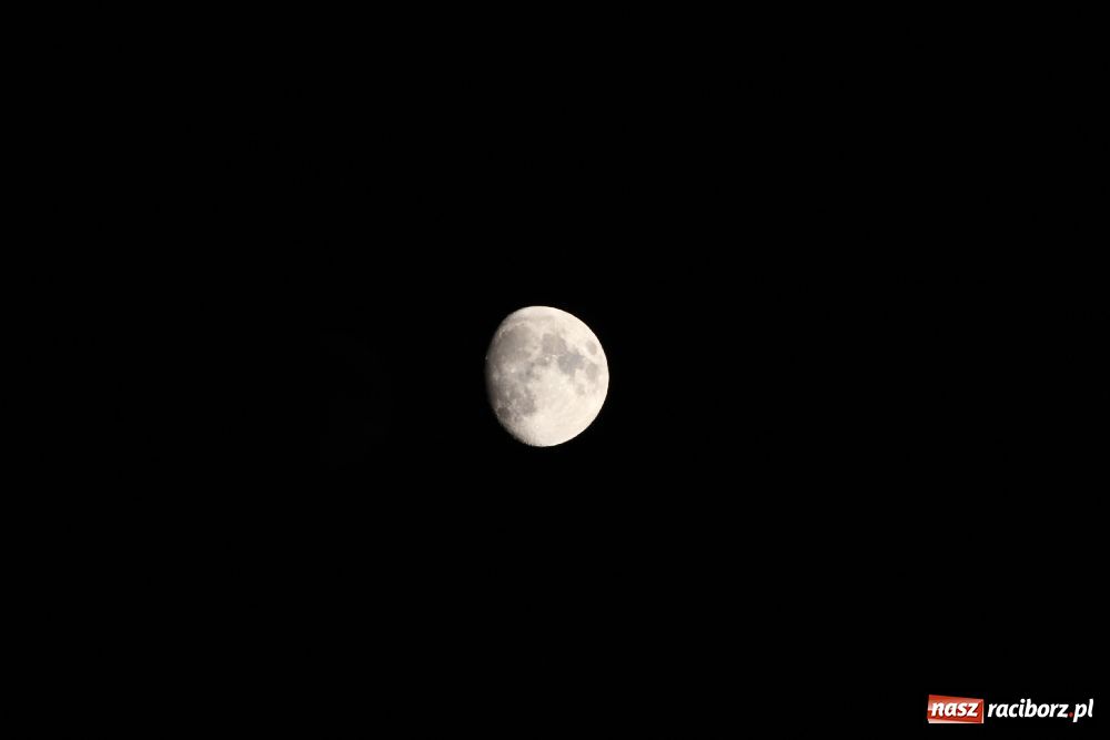 Zdjęcie w galerii na portalu naszraciborz.pl: Piknik z astronomią w Krzanowicach wiadomości z regionu