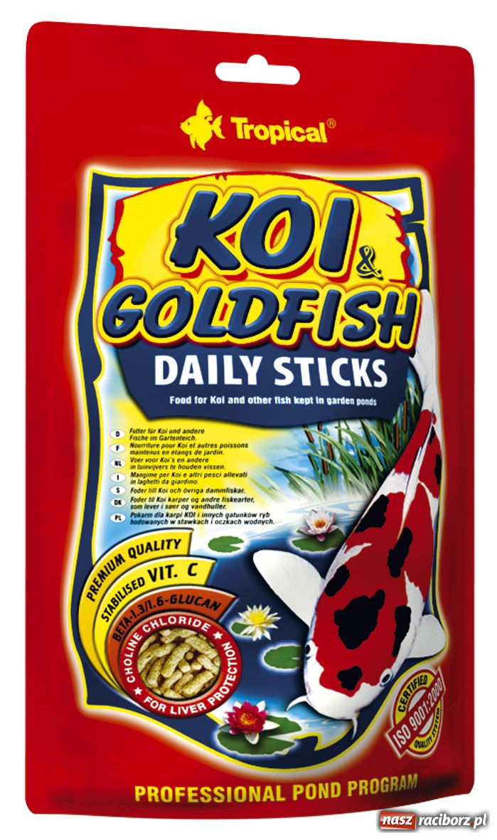 Zdjęcie w galerii na portalu naszraciborz.pl: Ozdobne ryby w oczku wodnym wiadomości z regionu