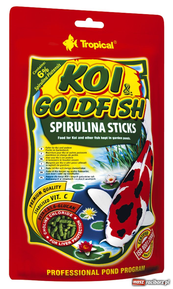 Zdjęcie w galerii na portalu naszraciborz.pl: Ozdobne ryby w oczku wodnym wiadomości z regionu