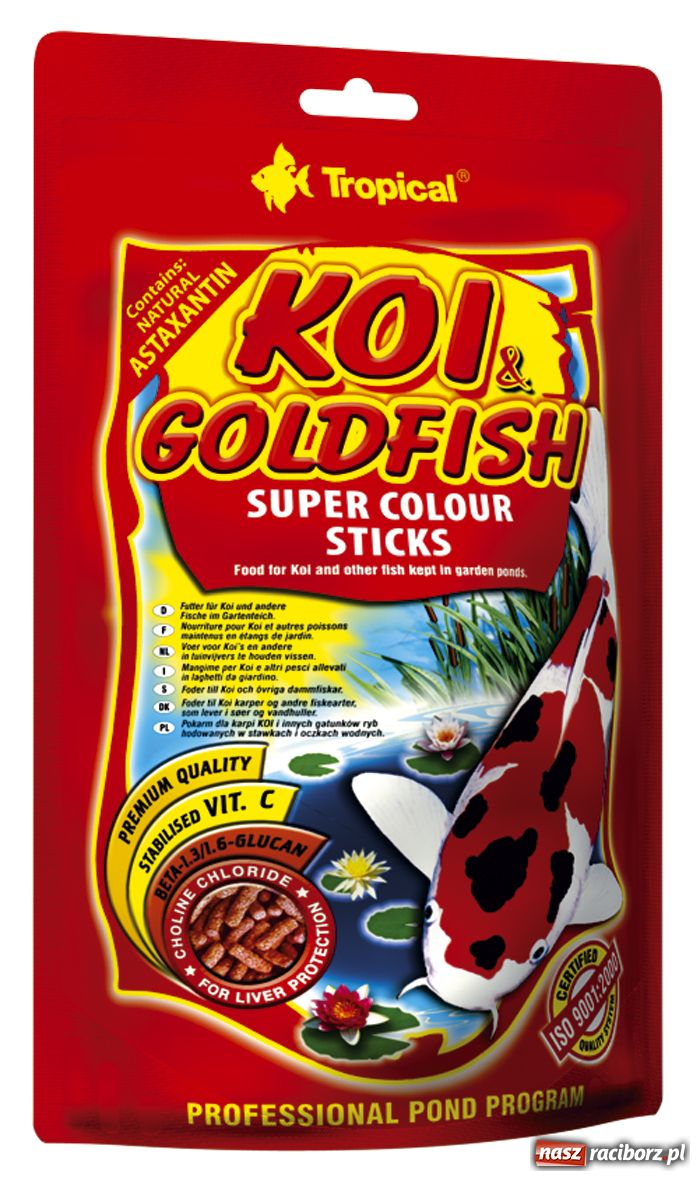 Zdjęcie w galerii na portalu naszraciborz.pl: Ozdobne ryby w oczku wodnym wiadomości z regionu