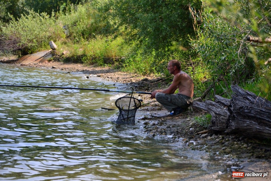Zdjęcie w galerii na portalu naszraciborz.pl: W upał wędkarze mieli słabe branie wiadomości z regionu