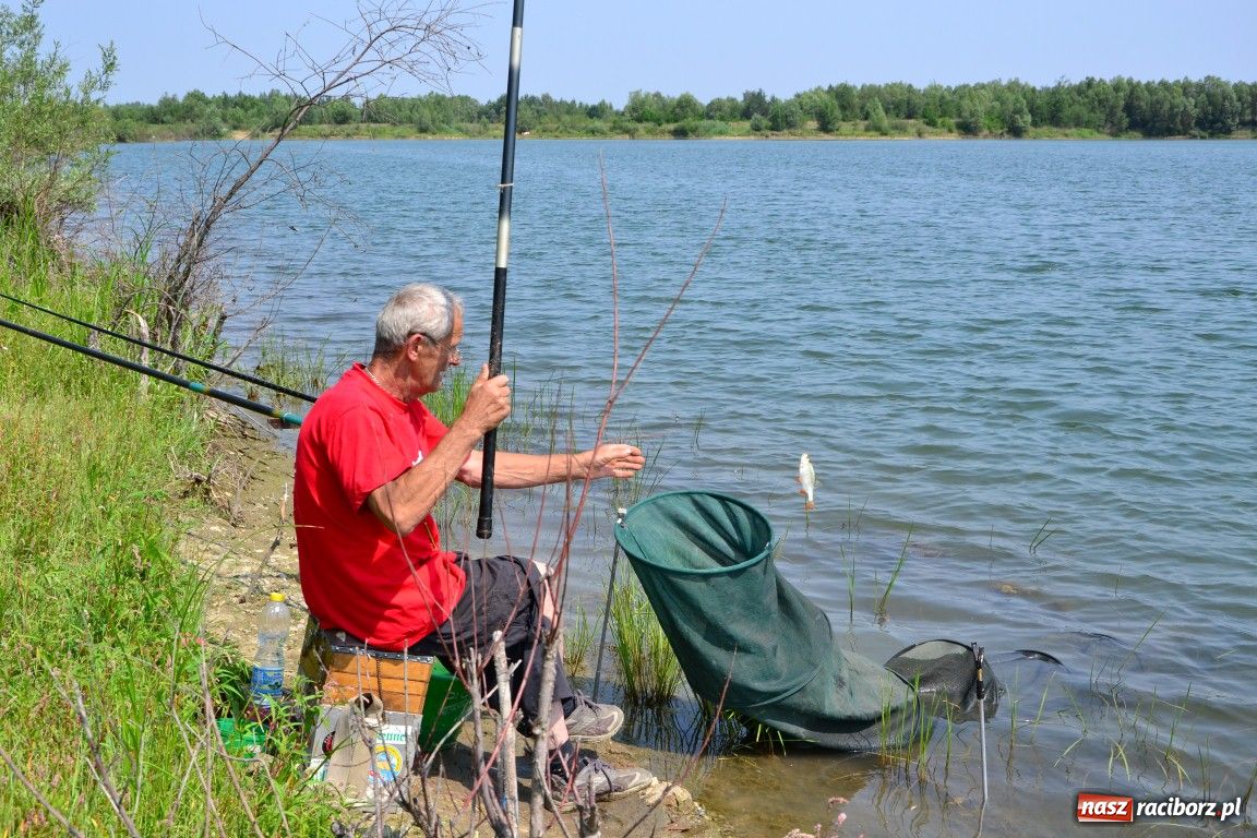 Zdjęcie w galerii na portalu naszraciborz.pl: W upał wędkarze mieli słabe branie wiadomości z regionu