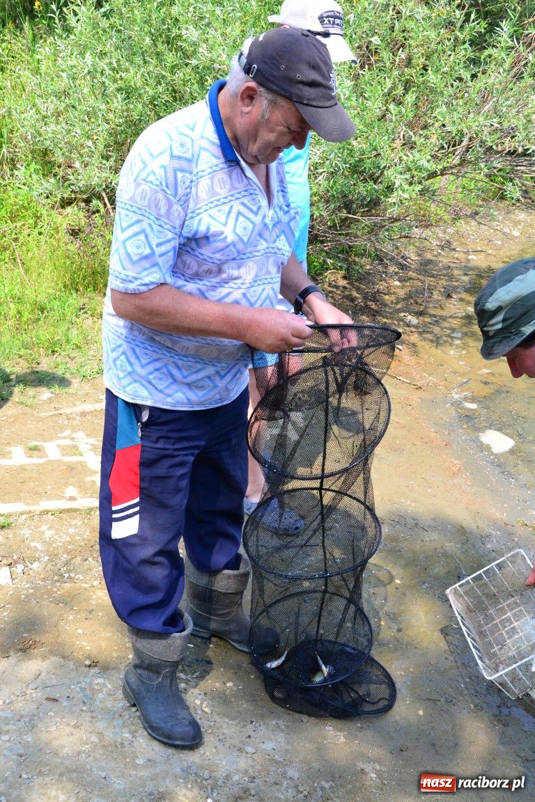 Zdjęcie w galerii na portalu naszraciborz.pl: W upał wędkarze mieli słabe branie wiadomości z regionu