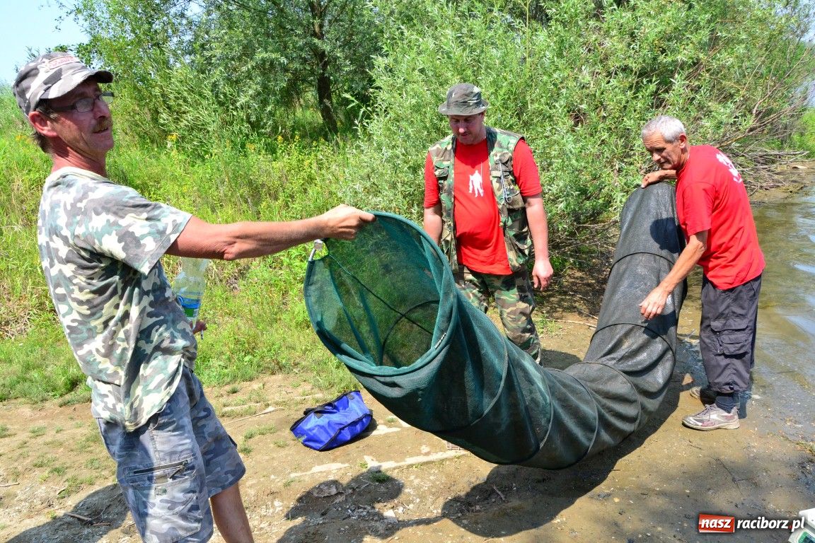 Zdjęcie w galerii na portalu naszraciborz.pl: W upał wędkarze mieli słabe branie wiadomości z regionu