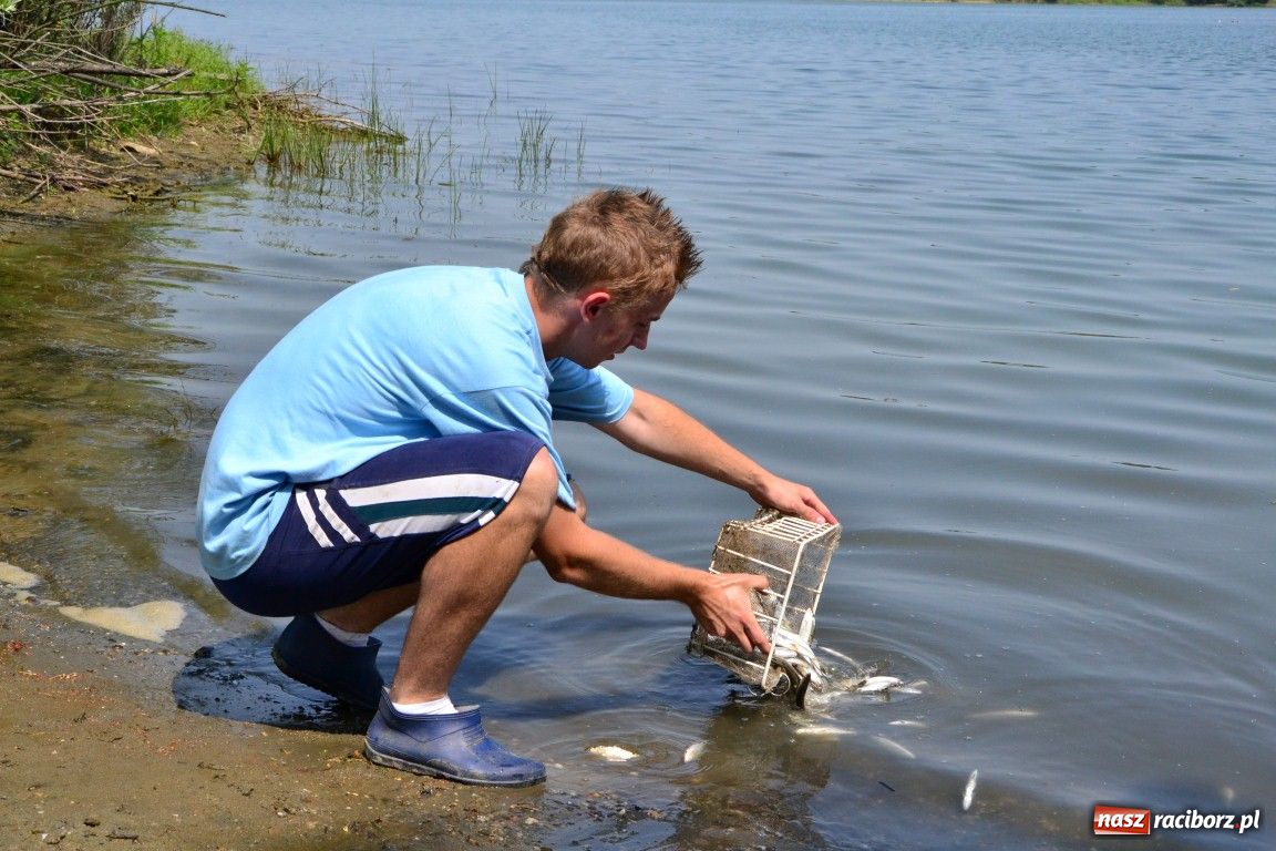 Zdjęcie w galerii na portalu naszraciborz.pl: W upał wędkarze mieli słabe branie wiadomości z regionu