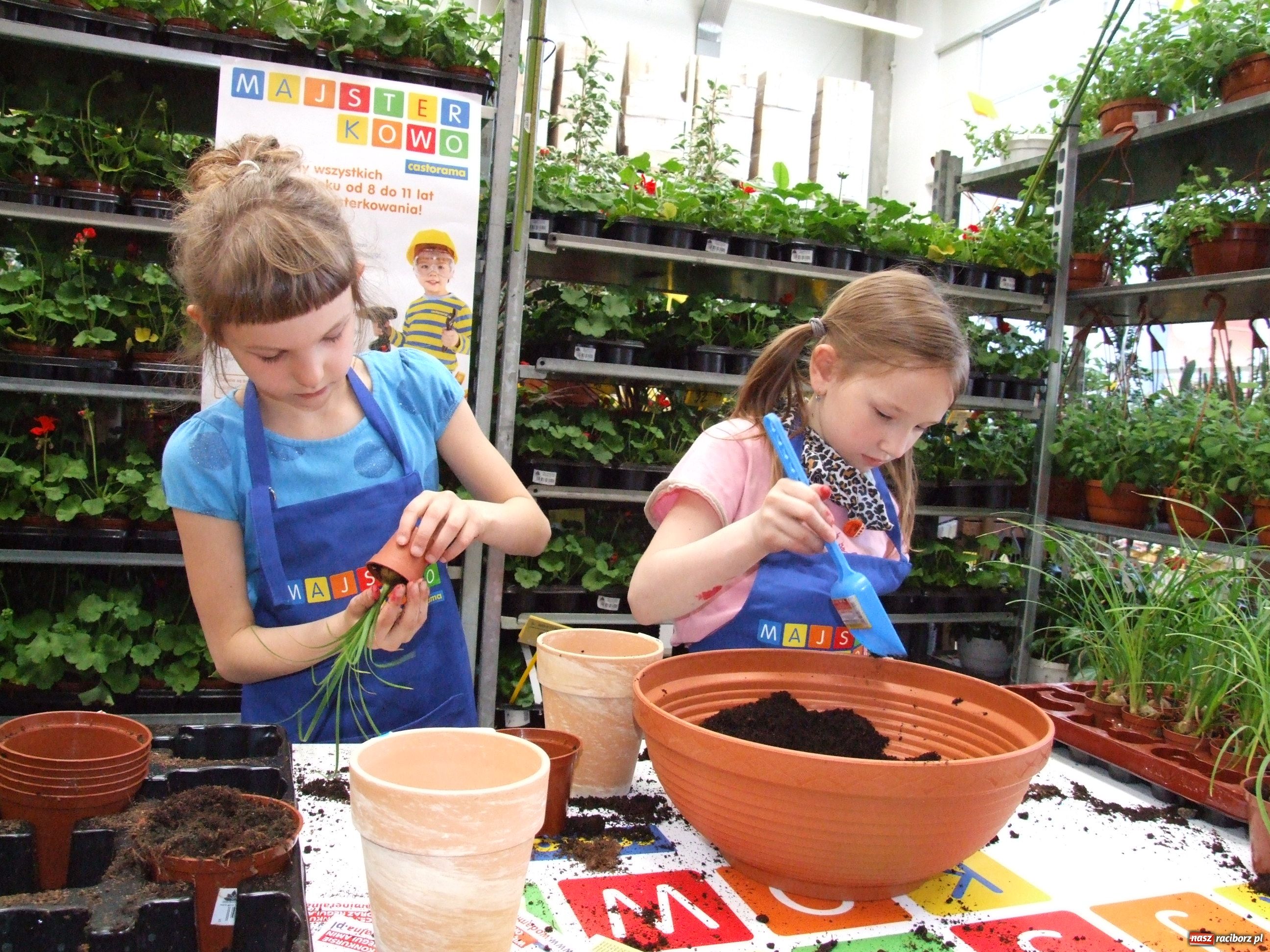 Zdjęcie w galerii na portalu naszraciborz.pl: Castorama uczy dzieci majsterkować wiadomości z regionu