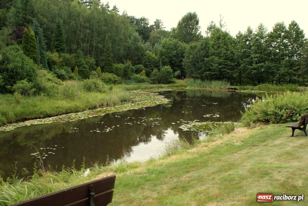 Zdjęcie w galerii na portalu naszraciborz.pl: Roczek z Silvan Spa wiadomości z regionu