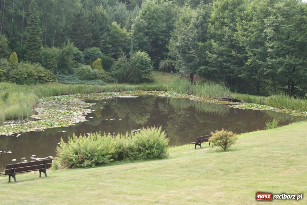 Zdjęcie w galerii na portalu naszraciborz.pl: Roczek z Silvan Spa wiadomości z regionu