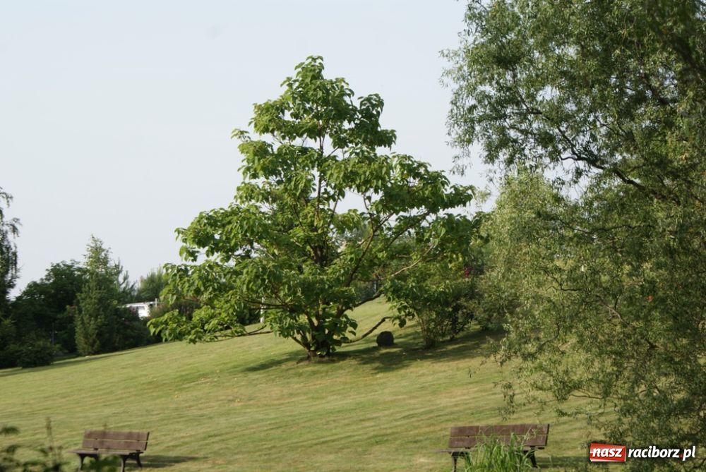 Zdjęcie w galerii na portalu naszraciborz.pl: Roczek z Silvan Spa wiadomości z regionu