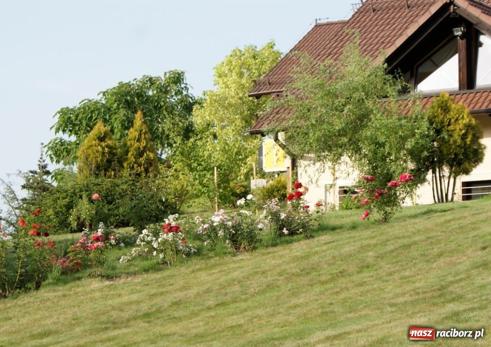 Zdjęcie w galerii na portalu naszraciborz.pl: Roczek z Silvan Spa wiadomości z regionu