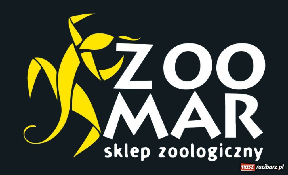 Zdjęcie w galerii na portalu naszraciborz.pl: Adoptujesz kota, dostaniesz wyprawkę wiadomości z regionu