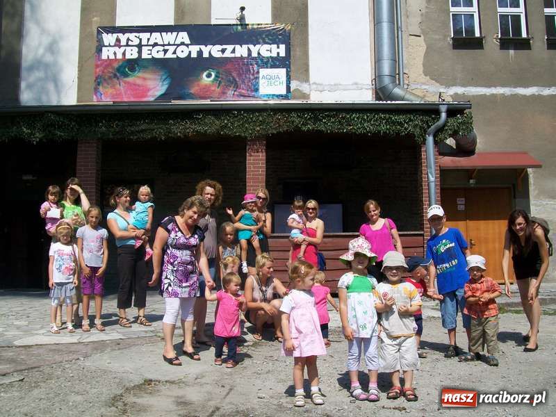 Zdjęcie w galerii na portalu naszraciborz.pl: Co robić w upały z małym dzieckiem? wiadomości z regionu