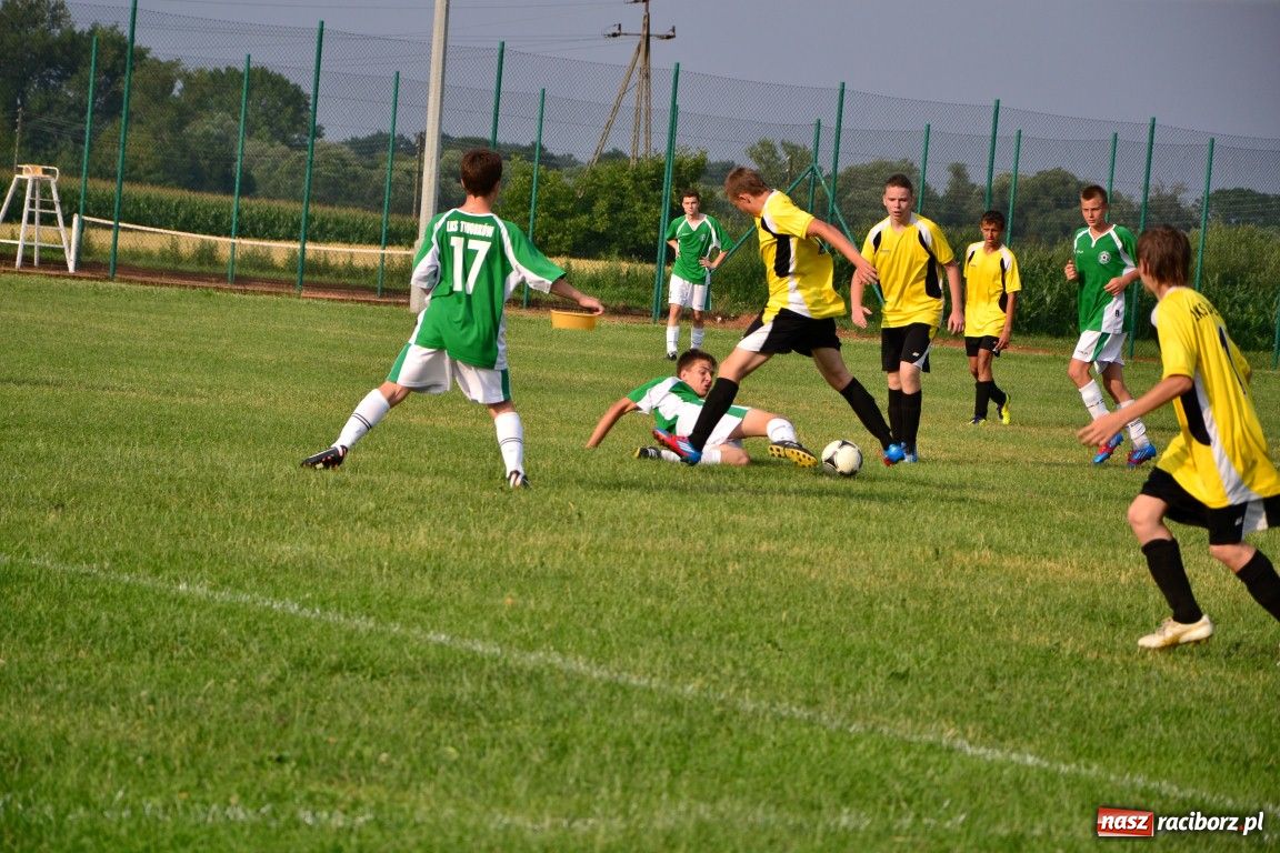 Zdjęcie w galerii na portalu naszraciborz.pl: Juniorzy walczyli o Puchar Wójta wiadomości z regionu