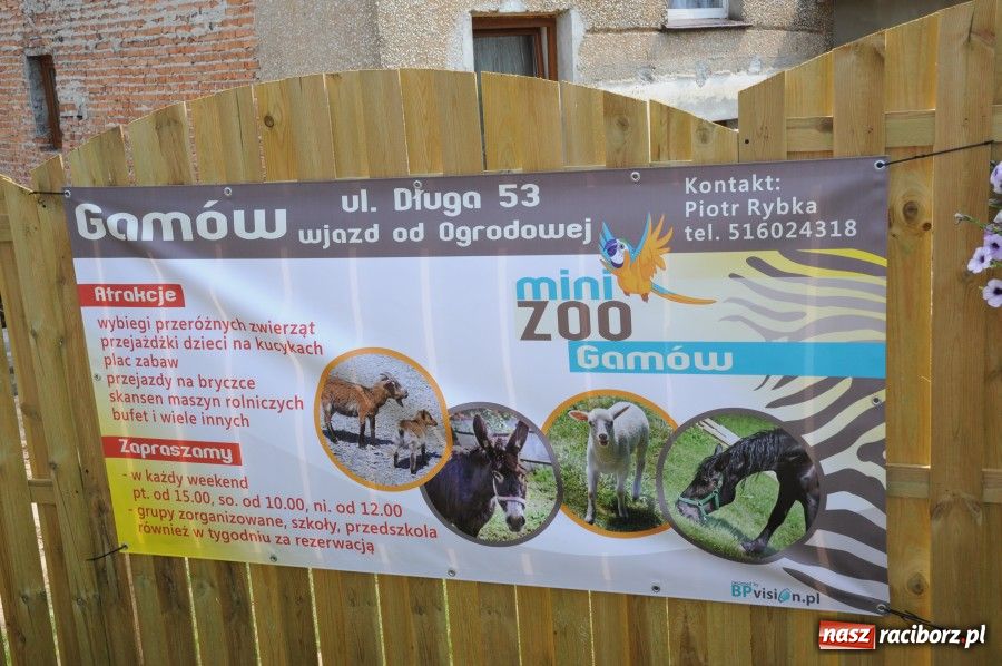 Zdjęcie w galerii na portalu naszraciborz.pl: Gamów ma swoje mini-zoo wiadomości z regionu