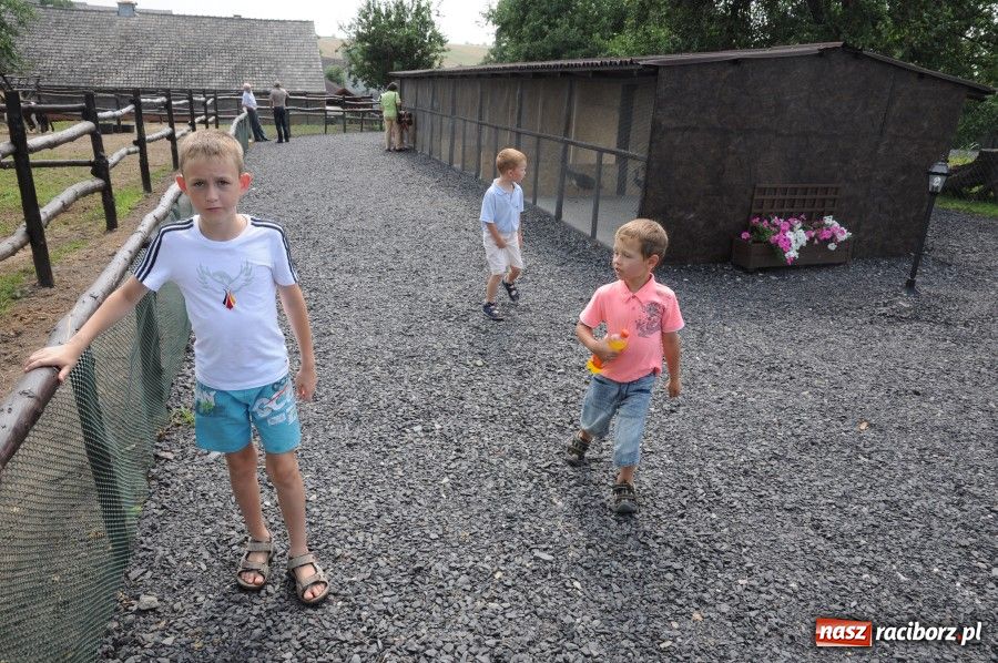 Zdjęcie w galerii na portalu naszraciborz.pl: Gamów ma swoje mini-zoo wiadomości z regionu