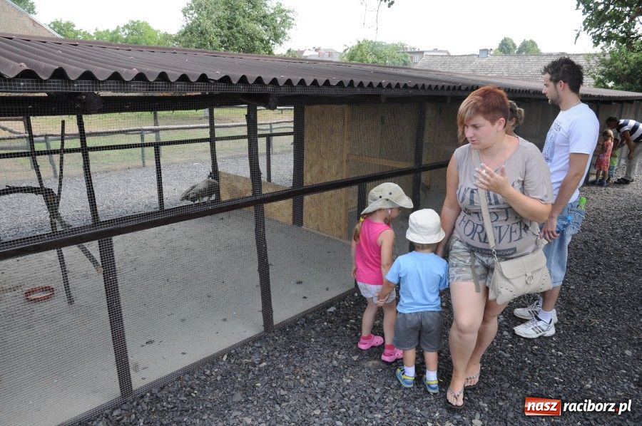 Zdjęcie w galerii na portalu naszraciborz.pl: Gamów ma swoje mini-zoo wiadomości z regionu