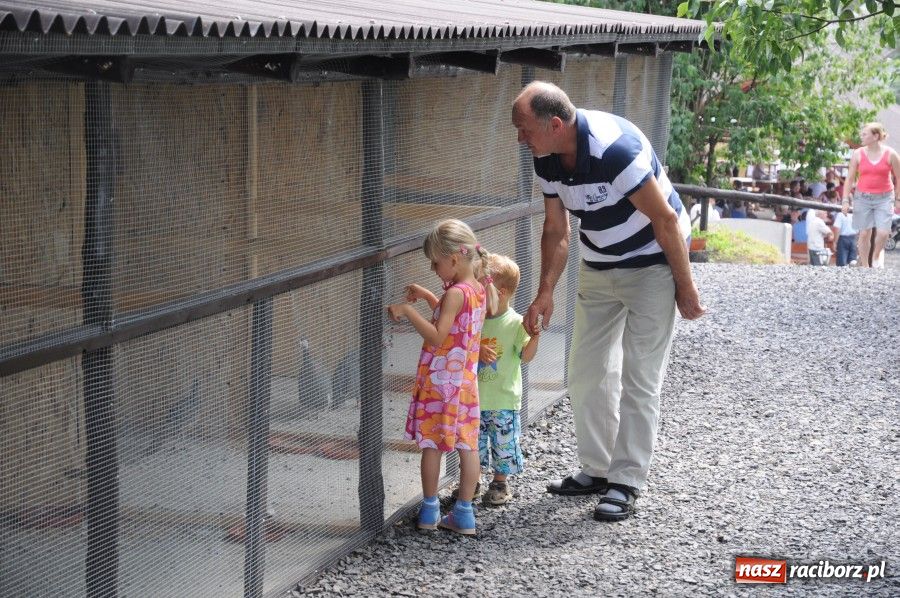 Zdjęcie w galerii na portalu naszraciborz.pl: Gamów ma swoje mini-zoo wiadomości z regionu