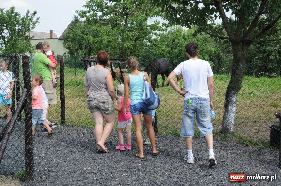 Zdjęcie w galerii na portalu naszraciborz.pl: Gamów ma swoje mini-zoo wiadomości z regionu