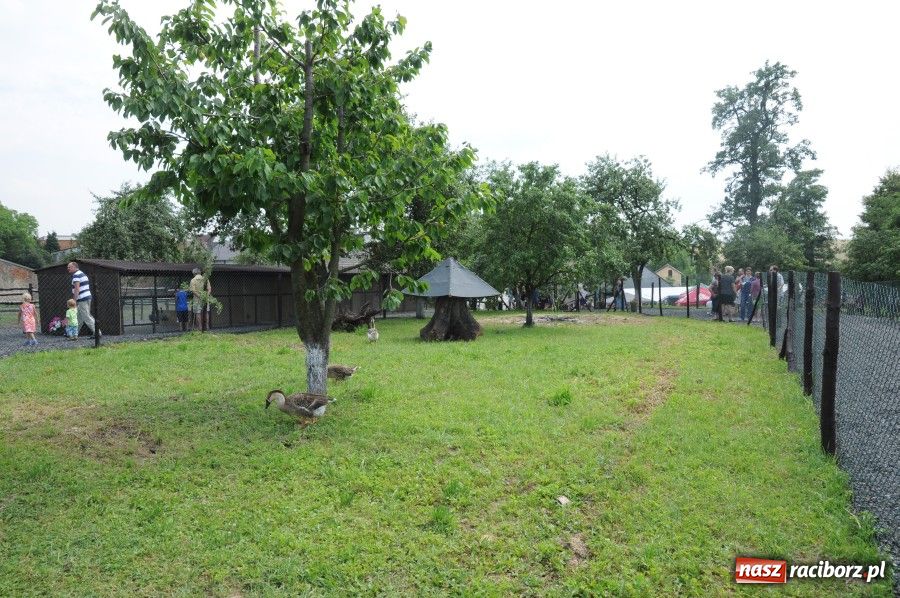 Zdjęcie w galerii na portalu naszraciborz.pl: Gamów ma swoje mini-zoo wiadomości z regionu