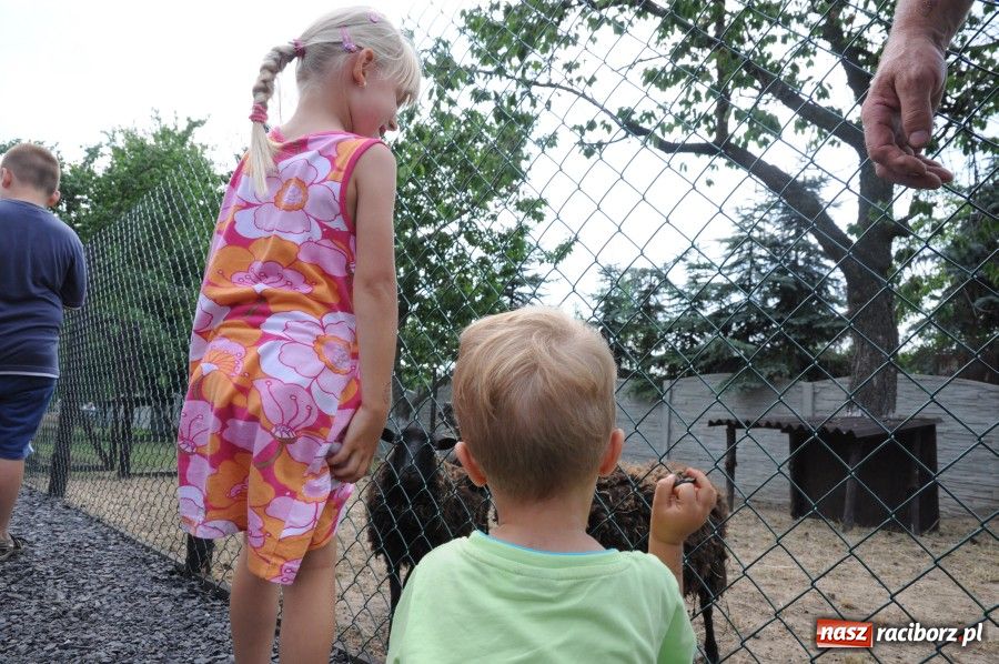 Zdjęcie w galerii na portalu naszraciborz.pl: Gamów ma swoje mini-zoo wiadomości z regionu