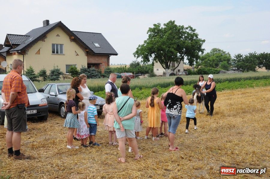 Zdjęcie w galerii na portalu naszraciborz.pl: Gamów ma swoje mini-zoo wiadomości z regionu