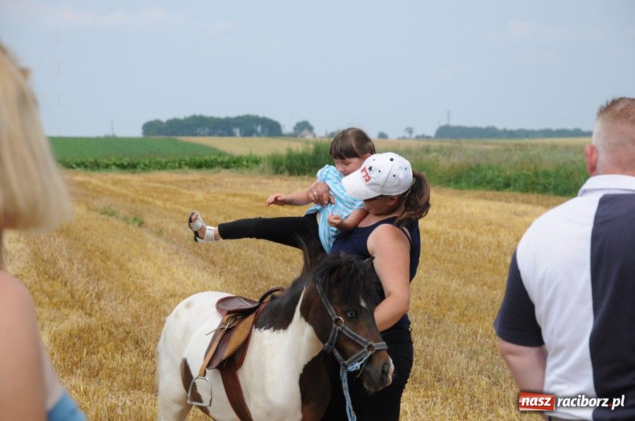 Zdjęcie w galerii na portalu naszraciborz.pl: Gamów ma swoje mini-zoo wiadomości z regionu