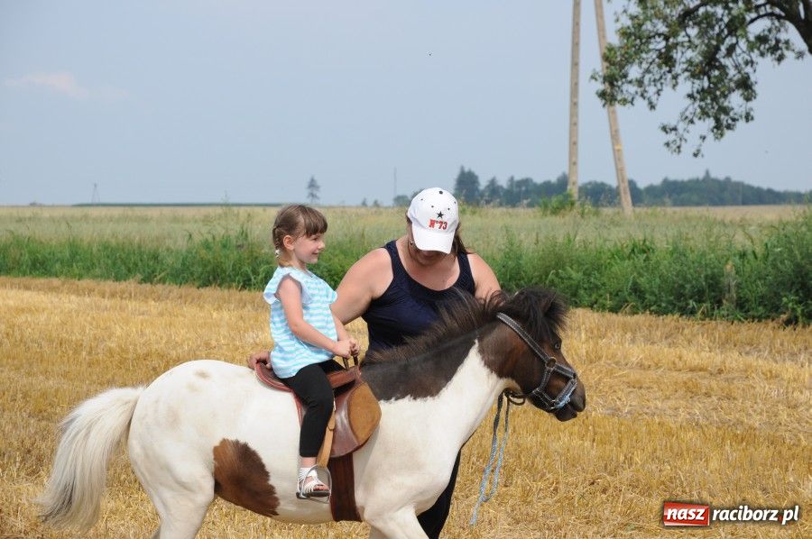 Zdjęcie w galerii na portalu naszraciborz.pl: Gamów ma swoje mini-zoo wiadomości z regionu