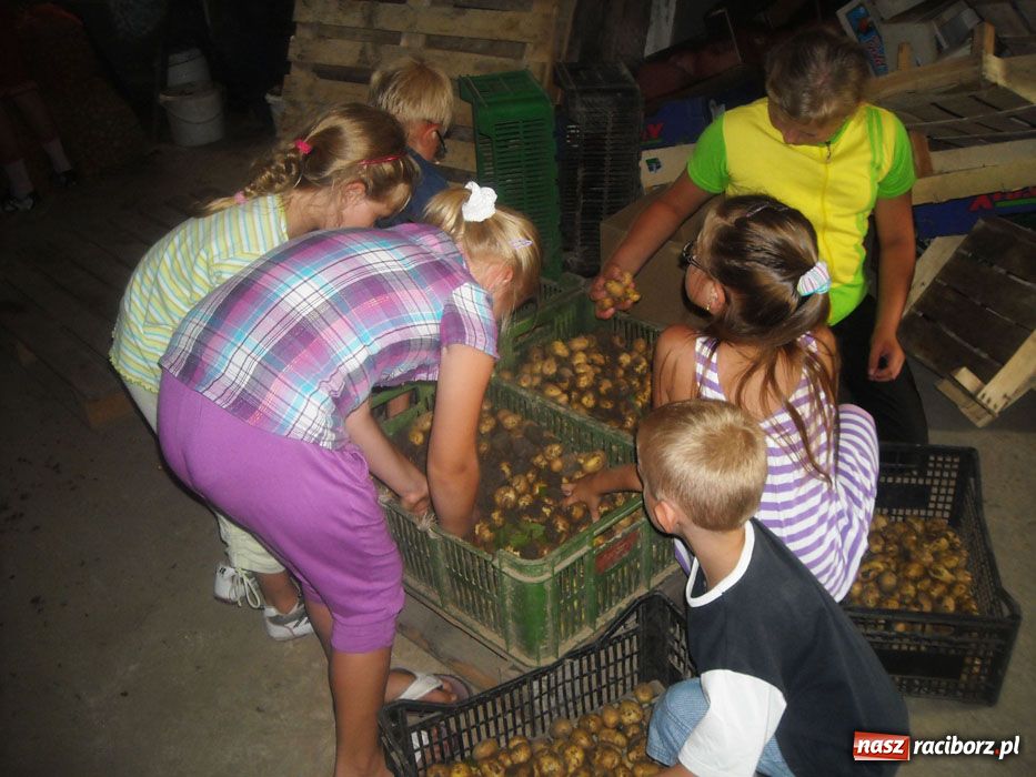 Zdjęcie w galerii na portalu naszraciborz.pl: Radośnie żyć na świecie wiadomości z regionu