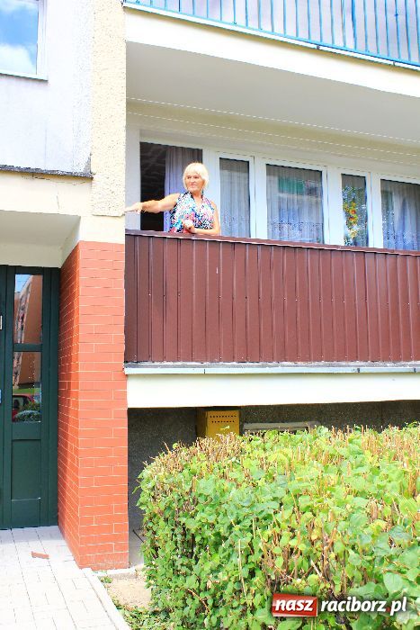 Zdjęcie w galerii na portalu naszraciborz.pl: Mija 15 lat po powodzi tysiąclecia wiadomości z regionu