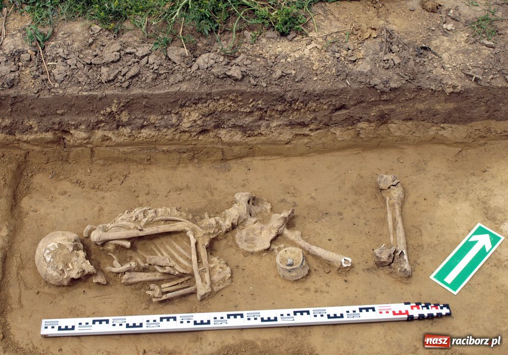 Zdjęcie w galerii na portalu naszraciborz.pl: Sensacyjne odkrycie przy Cegielnianej wiadomości z regionu