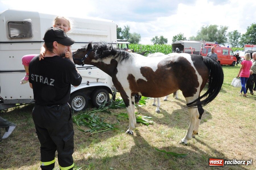 Zdjęcie w galerii na portalu naszraciborz.pl: OSP Bieńkowice z Pucharem Starosty wiadomości z regionu