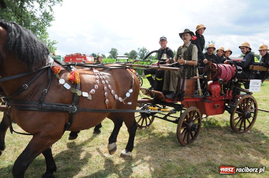 Zdjęcie w galerii na portalu naszraciborz.pl: OSP Bieńkowice z Pucharem Starosty wiadomości z regionu