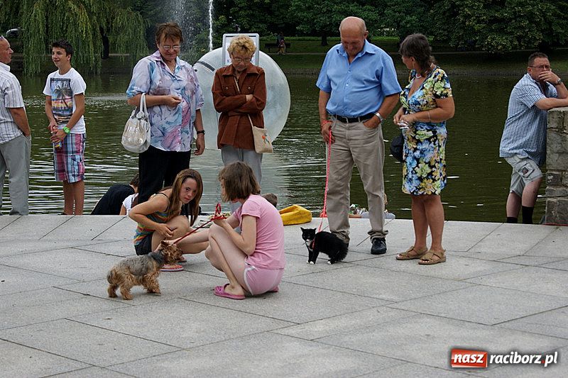 Zdjęcie w galerii na portalu naszraciborz.pl: Jazzowe popołudnie w muszli wiadomości z regionu