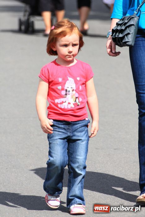 Zdjęcie w galerii na portalu naszraciborz.pl: Udany festyn edukacyjny policji wiadomości z regionu