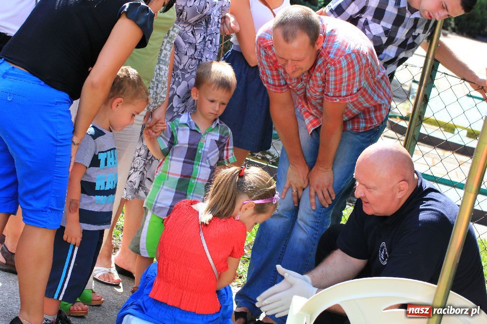 Zdjęcie w galerii na portalu naszraciborz.pl: Udany festyn edukacyjny policji wiadomości z regionu